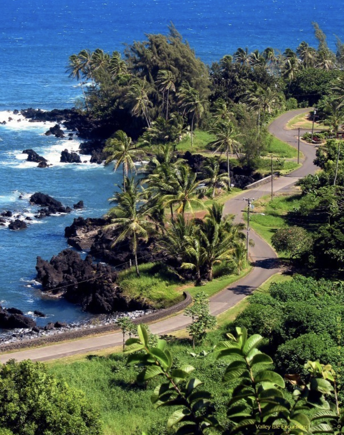 maui hana tour bus